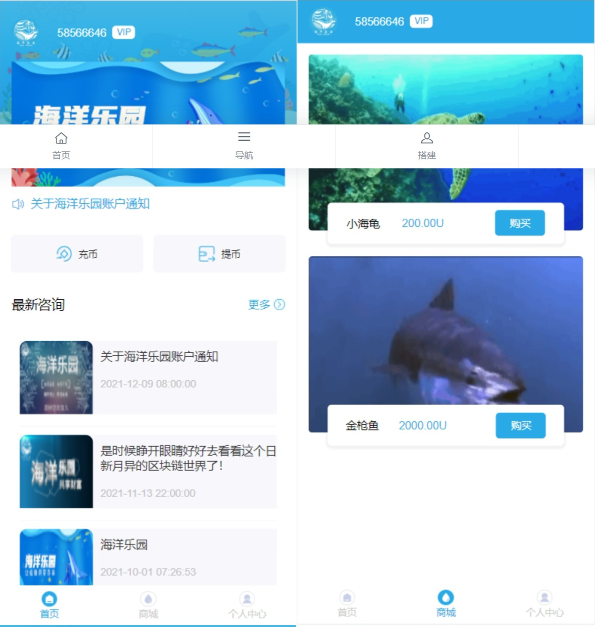 USDT理财系统USDT投资源码虚拟币静态收益区块链源码