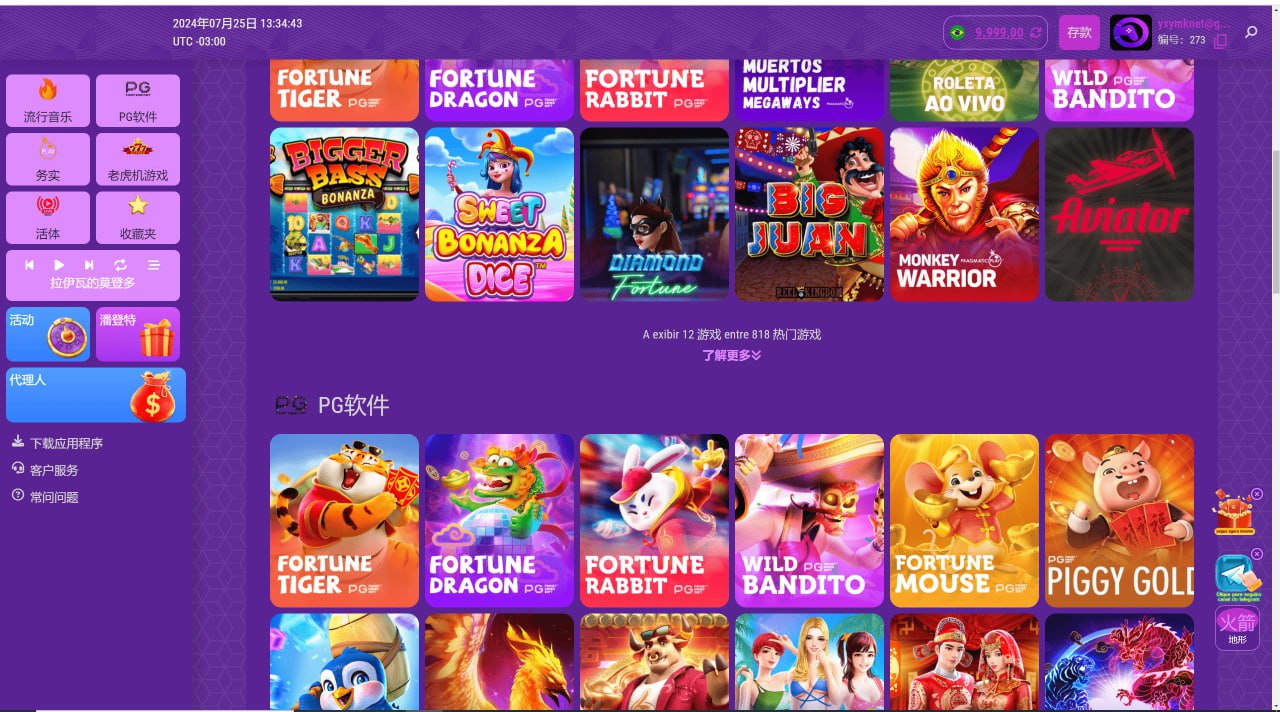 紫色新版PG电子游戏源码